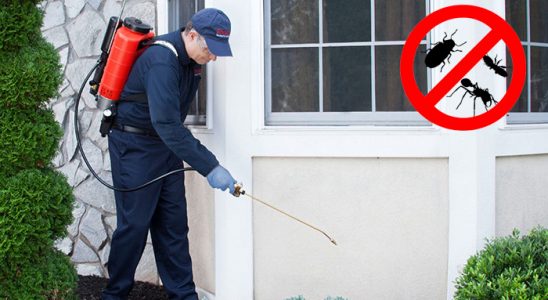 Soma Tahtakurusu İlaçlama böcek ilaçlama ve haşere kontrolü — ilaclama-tr.com